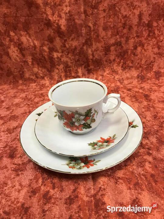 Filizanka Retsch Wunsiedel poinsecja świętokrzyskie Kielce