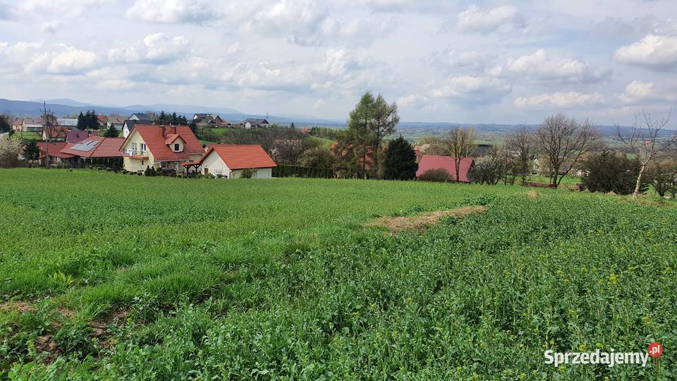 Pole rolne 77 a małopolskie Siedlec