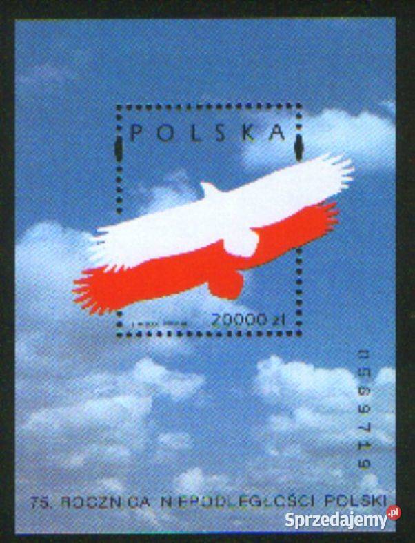 Zn Fi bl 110 1993 Gliwice