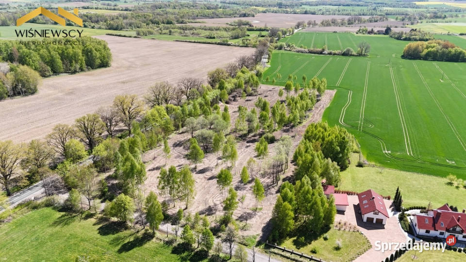 Działka 5306 m Dawidy