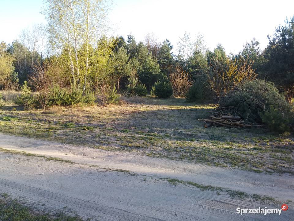 Wycinka drzew porządkowanie terenu wyrywanie Zduńska Wola