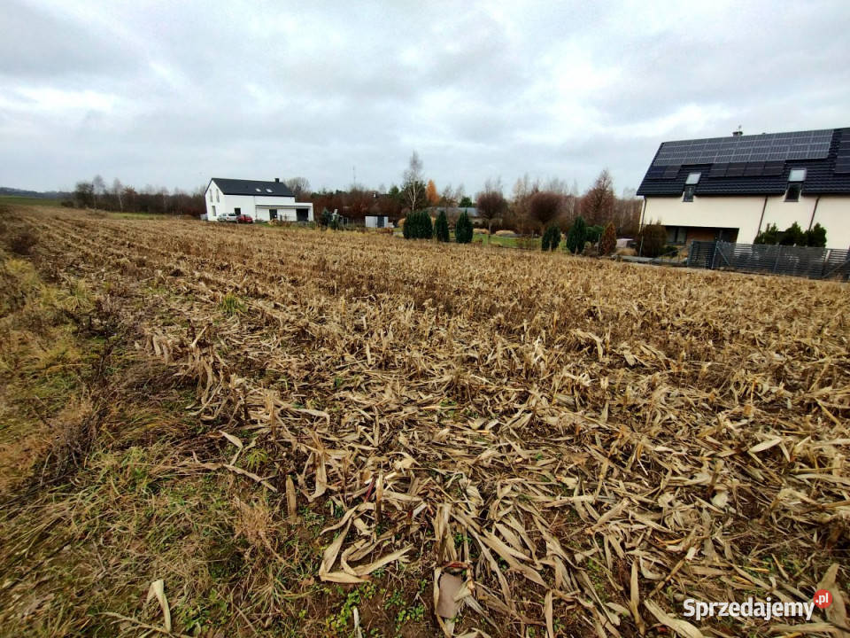 Sprzedaż działki 1600m2 PłouszowiceKolonia lubelskie Płouszowice-Kolonia
