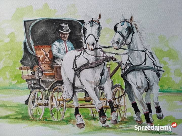 dorożka wielokolorowy Szczecin