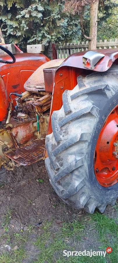 Zetor 3511 Mucharzew