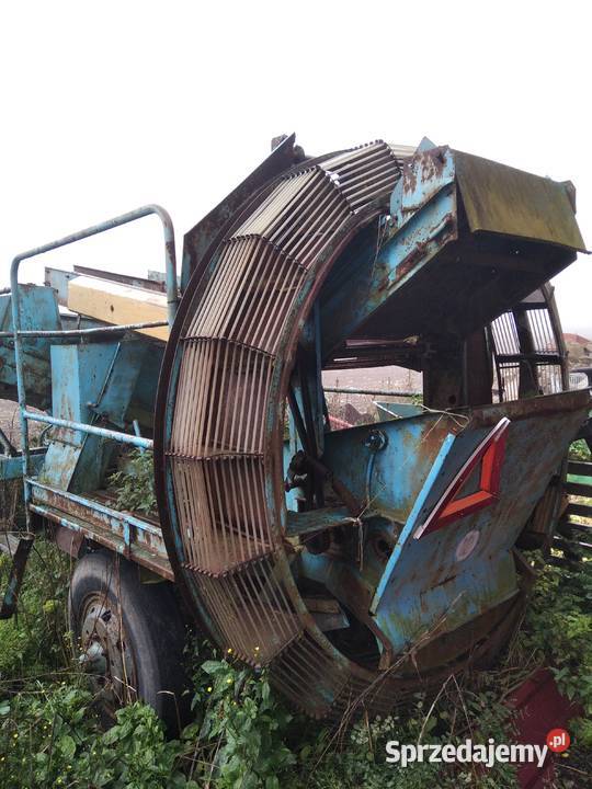 Wyorywacz sadzonek truskawek Anna kopaczka Mała Wieś