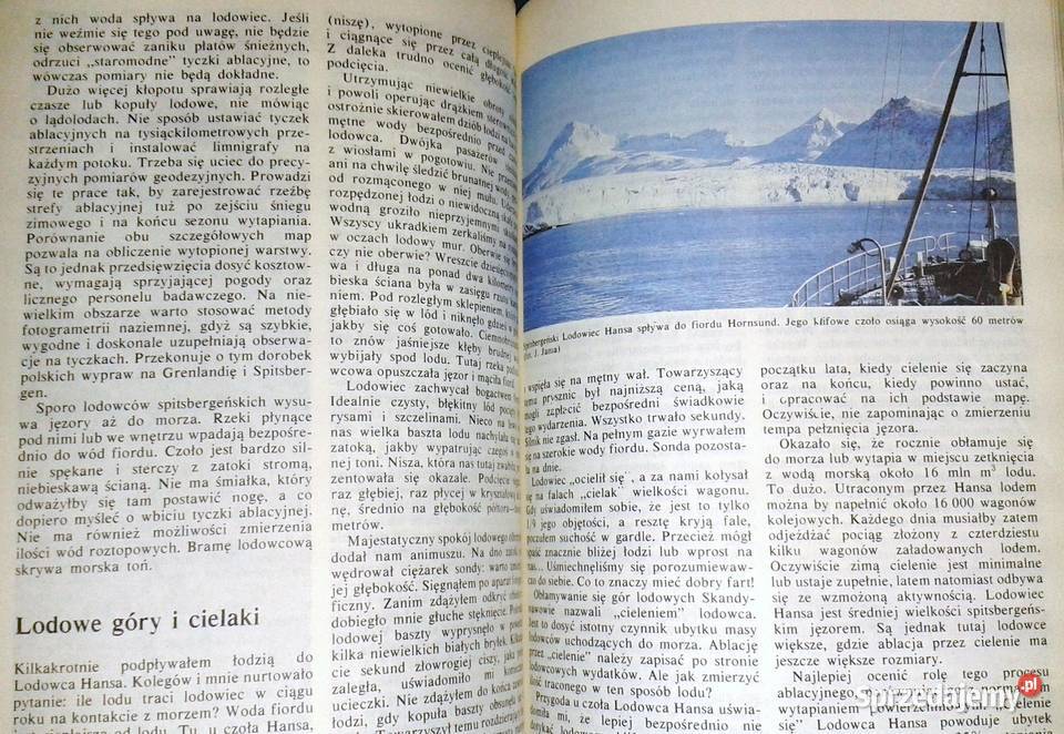 Zrozumieć lodowce Jacek Jania Chełm sprzedam
