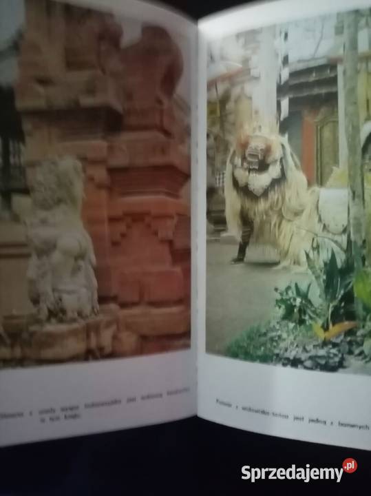 W cieniu bomby D OBudrewicz Bądkowo