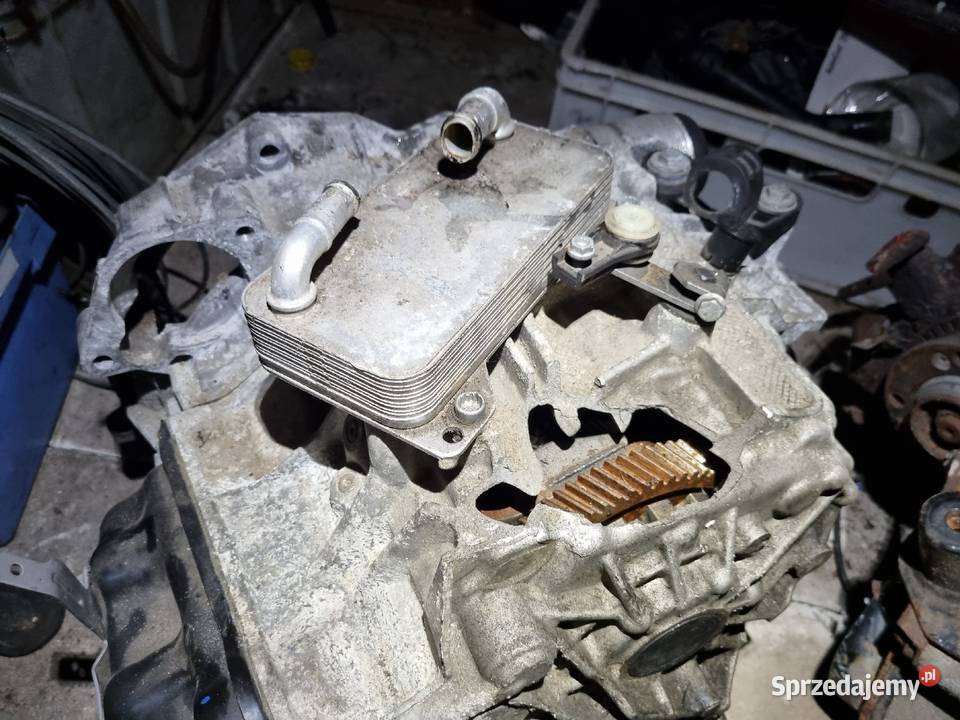 Skrzynia Biegów DSG VW Passat B8 2018r 20 TDi osobowe Skrzynie biegów automatyczne