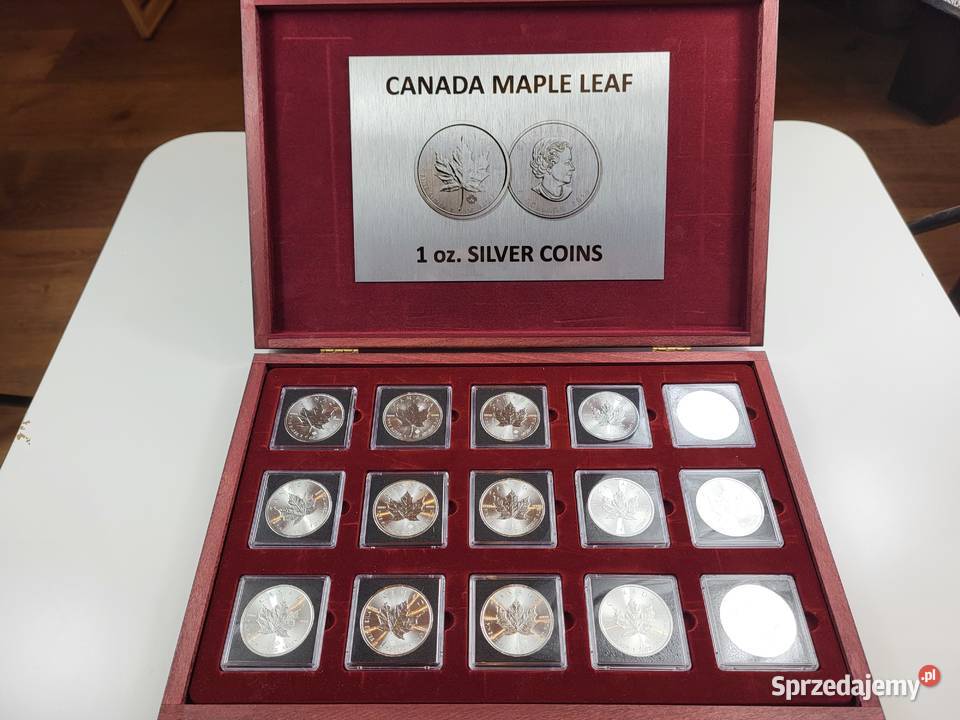 Kolekcja monet srebrynych Maple Leaf 1 oz 15 Lublin