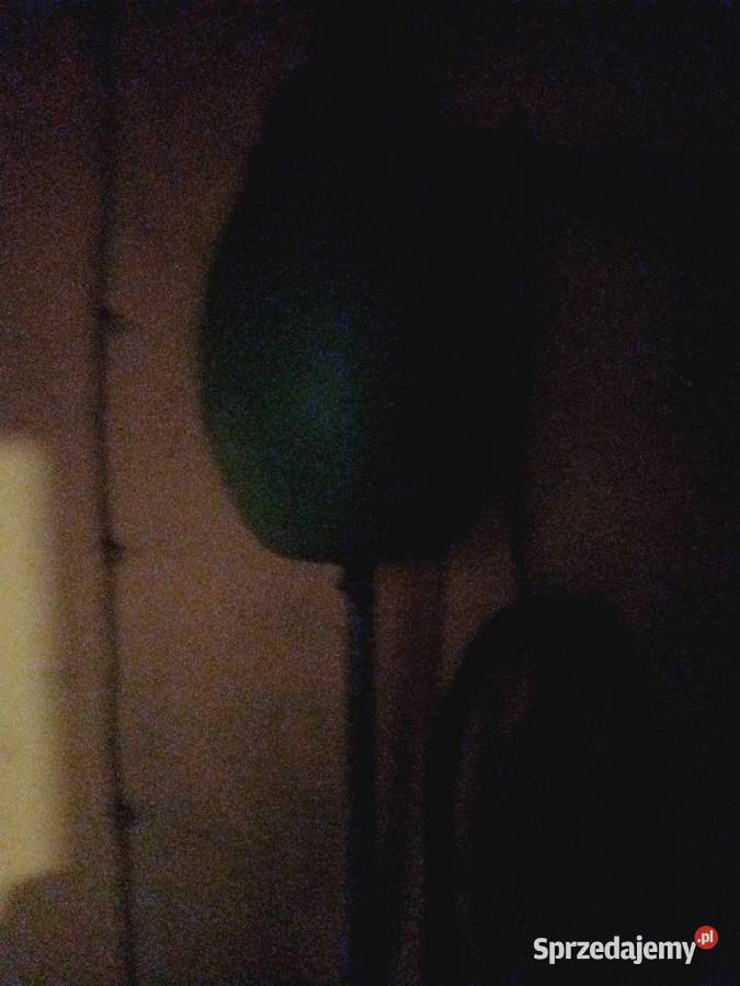 Dojarka Westfalia z hali udojowej Grajewo sprzedam