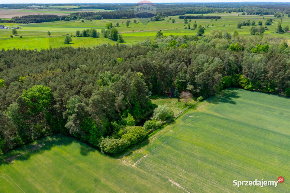 Budowlana 2300 m ze stawem i zielenią łódzkie