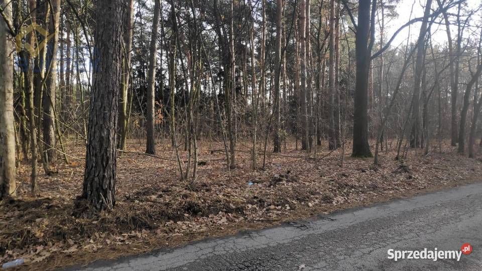 Sprzedam działkę budowlaną o pow 4432 m2 w Kuznocin