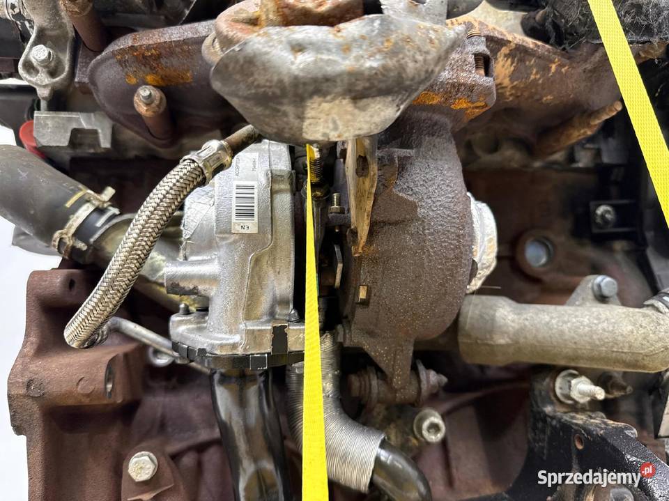 SILNIK RHK Peugeot Expert Citroen Jumpy Fiat Chełm