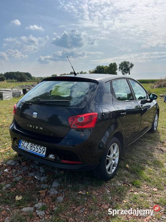 Seat Ibiza śląskie Psary