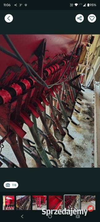 Siewnik poznaniak 27 Kaźmierz