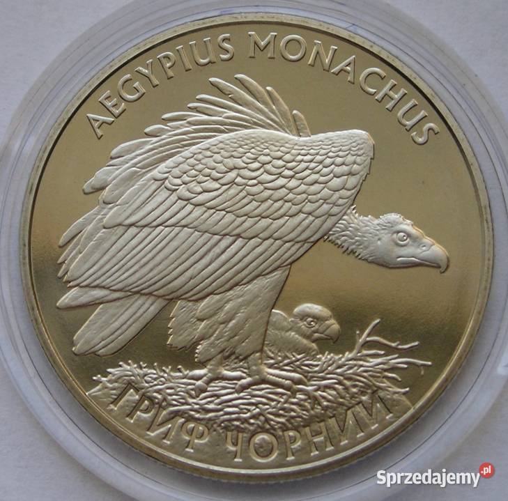Ukraina 2 hrywny 2008 sęp kasztanowaty stan 1 Numizmatyka Łódź