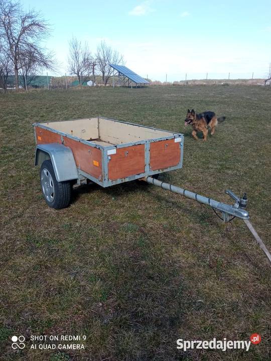 Przyczepka lekka sam 1 Śliwice