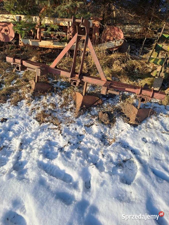 Obsypnik redełka Pozostałe mazowieckie