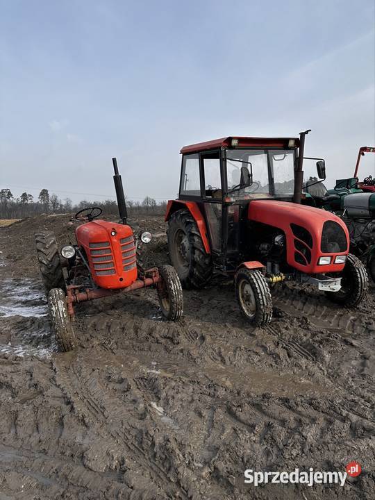 Zetor major 3011 na części Brodnica