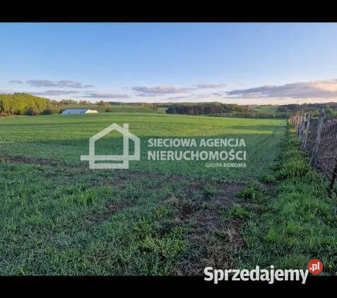 sprzedaży gruntu Kobysewo 1000 metrów