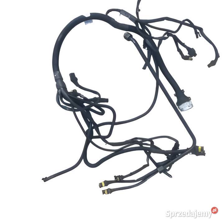 GŁÓWNA WIĄZKA ELEKTRYCZNA 00097712420 SAME świętokrzyskie Kielce