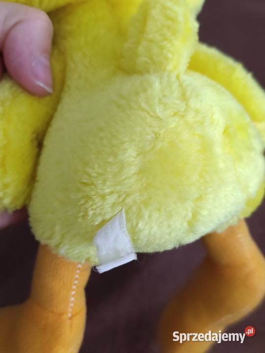 tweety ptaszek pluszak maskotka Poznań