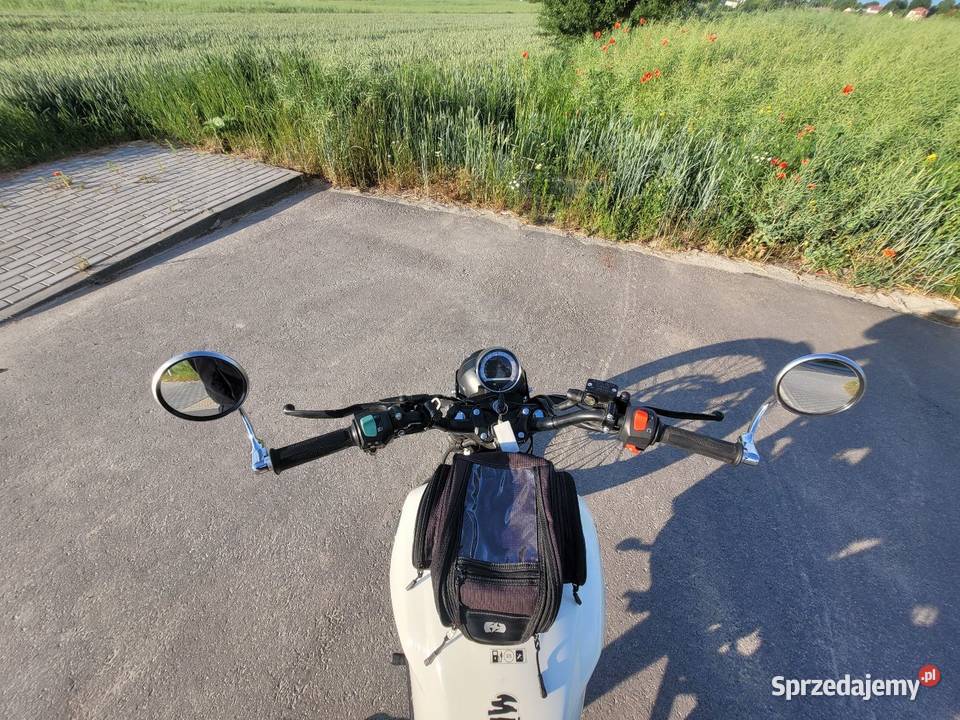 ZIPP CAFE RACER 125 Zipp Motoryzacja Piaski