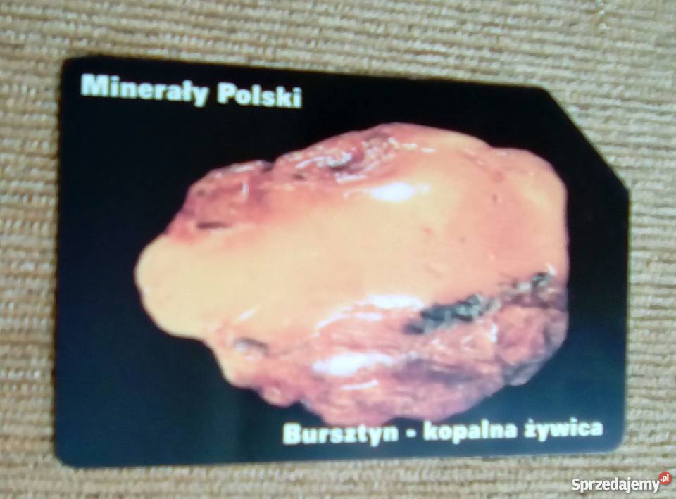 BURSZTYN SYMBOL POLSKICH KAMIENI OZDOBNYCH lubelskie Piszczac sprzedam