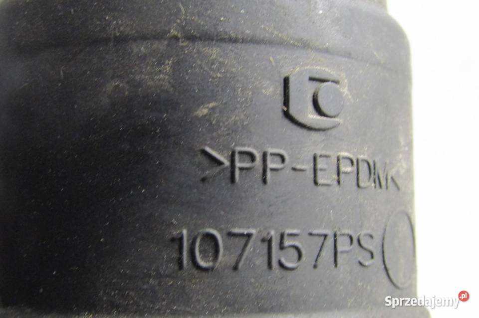 RURA DOLOT POWIETRZA DACIA DUSTER II 165555731R lubelskie