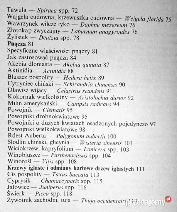 Krzewy ozdobne w ogródku Izabela Kiljańska Chełm sprzedam