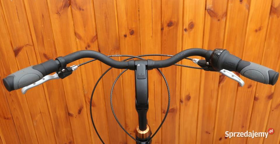 Rower męski Batavus Wayz H 57 RATY mazowieckie Milanówek