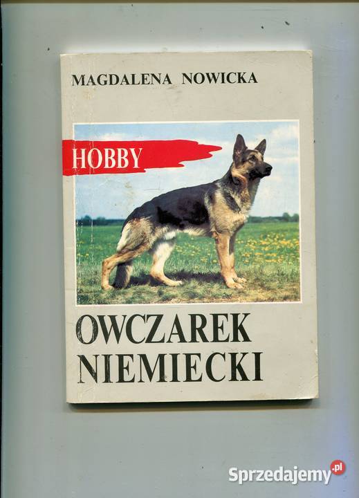 Owczarek niemiecki Szczecin sprzedam