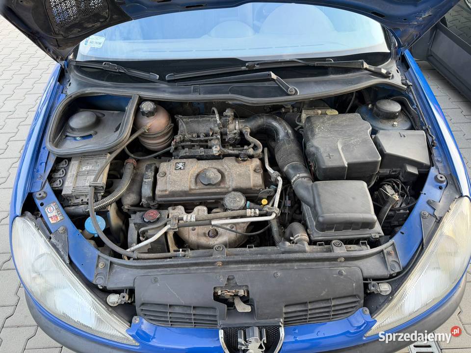 Peugeot 206 benzyna 14 2002 Baczyn