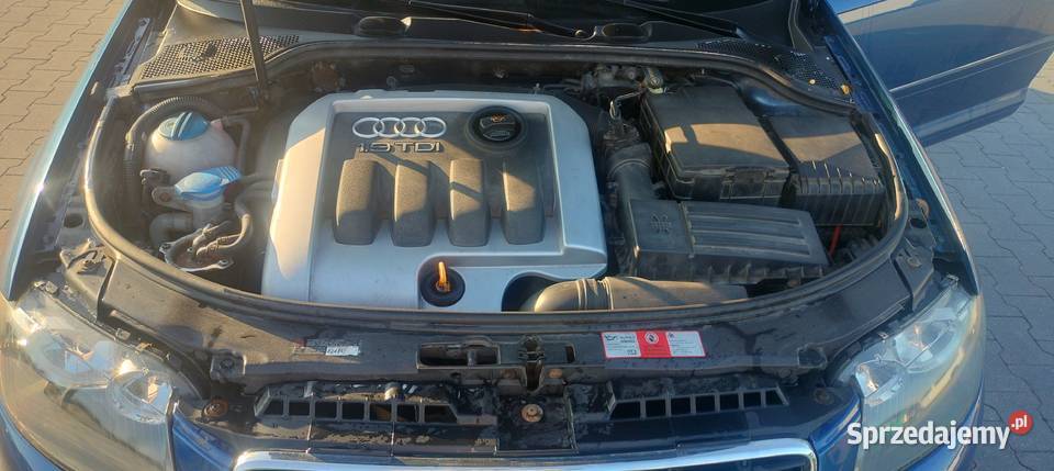 Audi A3 8p 19 TDI BKC 105 klimatyzacja dolnośląskie