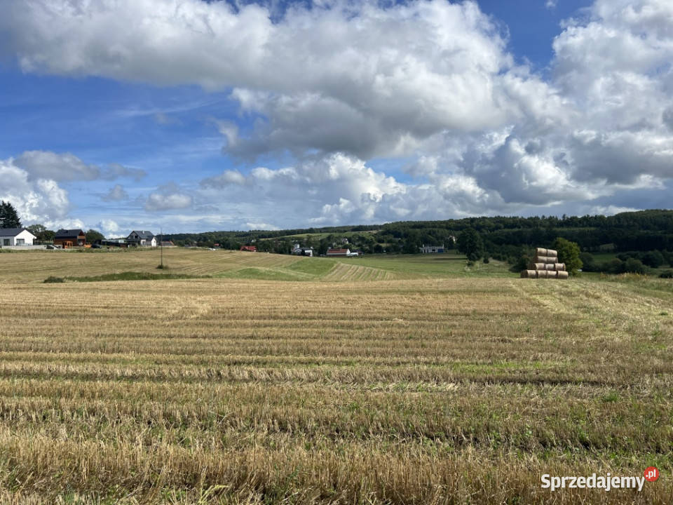 Działka siedliskowa 3 003 m z prawem zabudowy Sopieszyno sprzedam