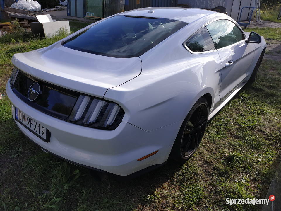 Syndyk sprzeda Ford Mustang 2261cm3 Wrocław