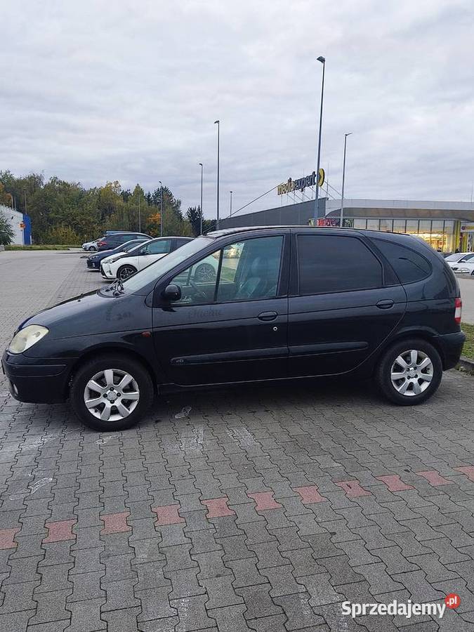 Scenic Renault Oława