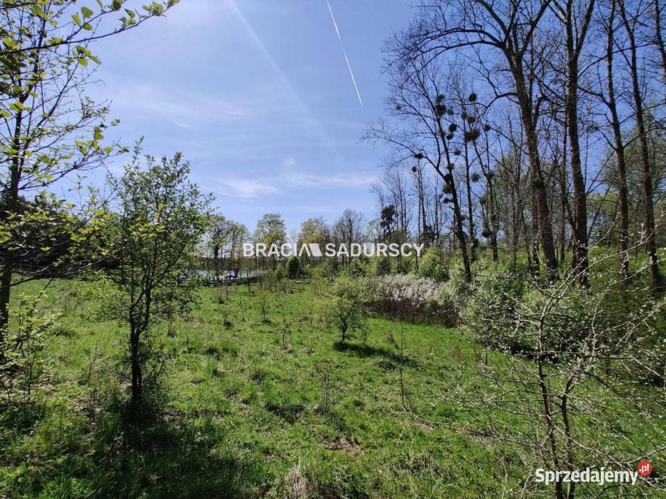 Grunt Łukta 22941m2 rekreacyjna