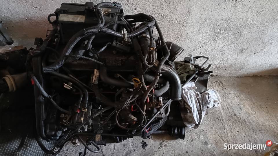 Silnik Ford Focus Mk 1 Cielcza sprzedam