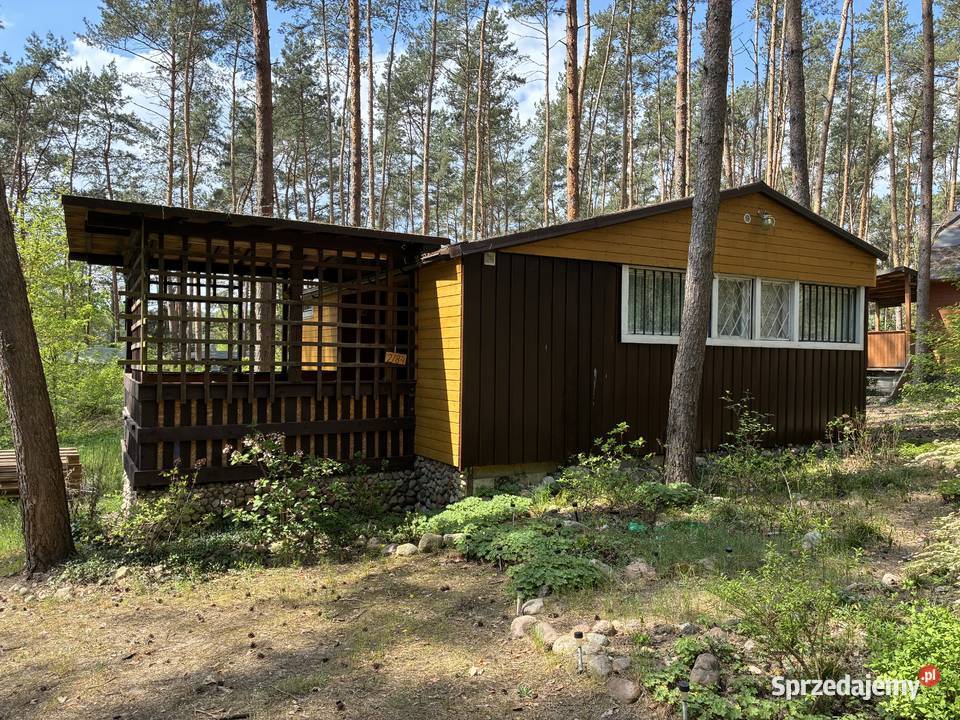 Domek letniskowy jeziorem Budziszewskim 250m2 Sprzedaż wielkopolskie Rościnno