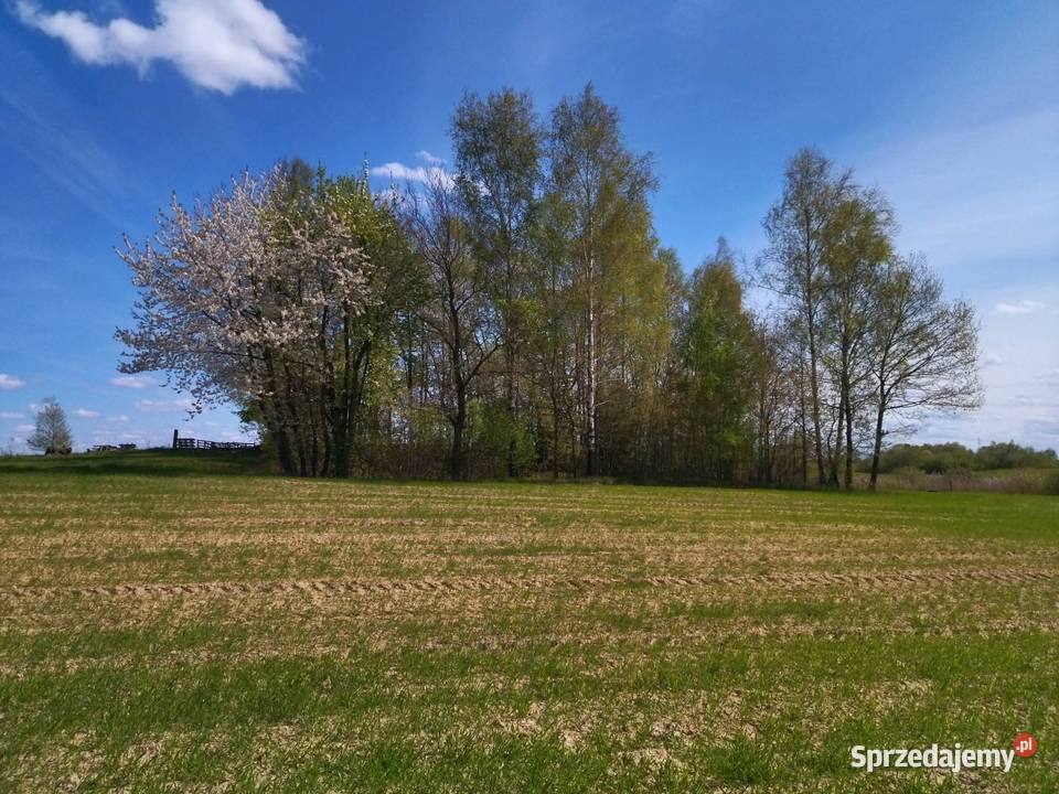 Działka budowlana na mazurach Łączno