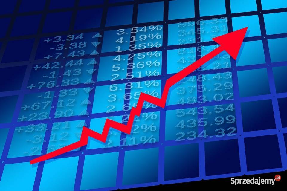 Sprzedam spółkę z obrotem 23 mln i zyskiem 50000 Pozostałe sprzedam