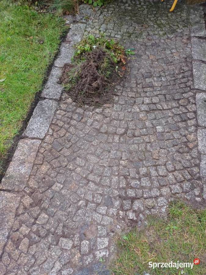 Koszenie trawy i prace ogrodowe Mszczonów
