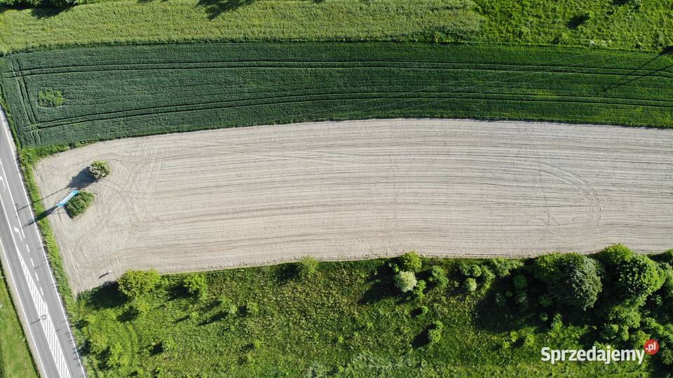 Inwestycyjna działka w Iłży Iłża