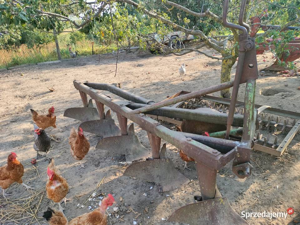 podorywacz 5 skib Chełmża