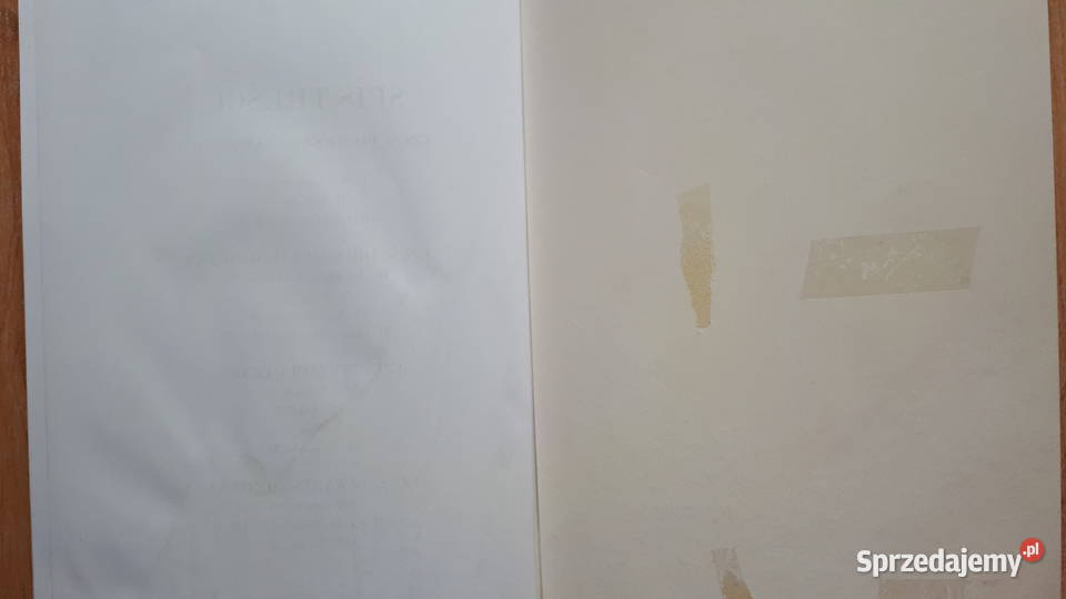 Najdziwniejsza przyjaciółka EM Mukoid Rybnik