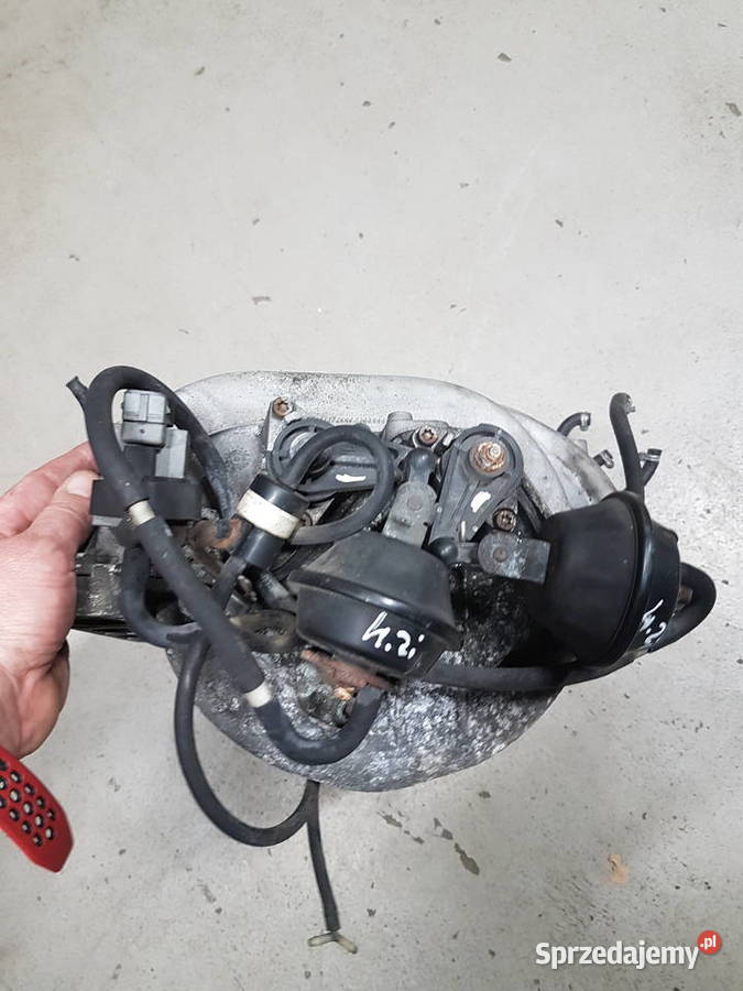 AUDI S8 A8 D2 42 AQH KOLEKTOR SSACY GRUSZKA Kolektory ssące wielkopolskie Turek