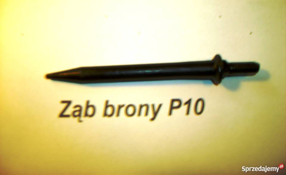 ząb brony polowej M10 fi10x110 oznaczenie P10