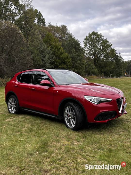 Alfa Romeo Stelvio 20 Turbo 16V 2022 Garwolin