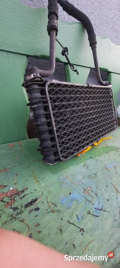 Części Suzuki Gsf 1200 2001r Opole